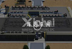 越南800t/d石墨礦選礦項目視頻