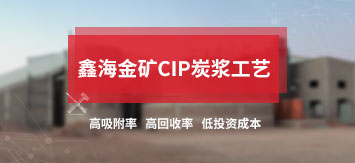 鑫海金礦氰化炭漿提金工藝